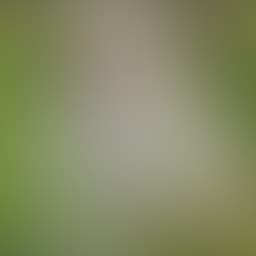 A blurred avatar for Private Host. Sign in to see their full information.