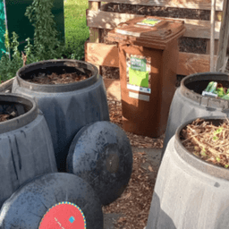 The Pocket Community Garden’s avatar