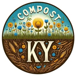 Back of DY Market’s avatar