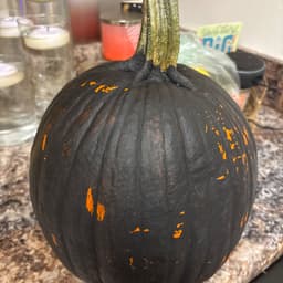 Loch Raven’s avatar