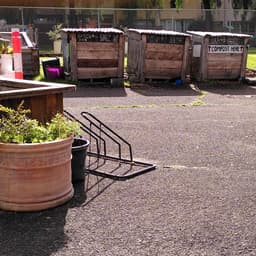Town Hall Compost’s avatar